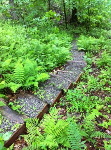Powerhouse path stairs